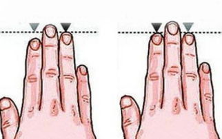食指横纹多命运分析 食指横纹代表什么意