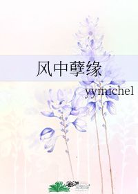 风中孽缘 yymichel 晋江文学城 